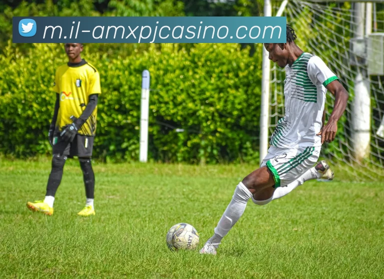 澳门新葡京娱乐APP 高清赛事图